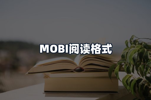 MOBI阅读格式